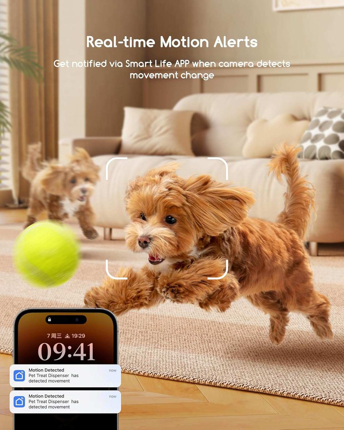 2K Pet Camera with Treat Dispenser, 5G Wifi Dog Camera with Speaker, Phone App, 2-Way Audio, Night Vision, Motion Alerts for Treat Tossing and Monitoring Your Pet Remotely